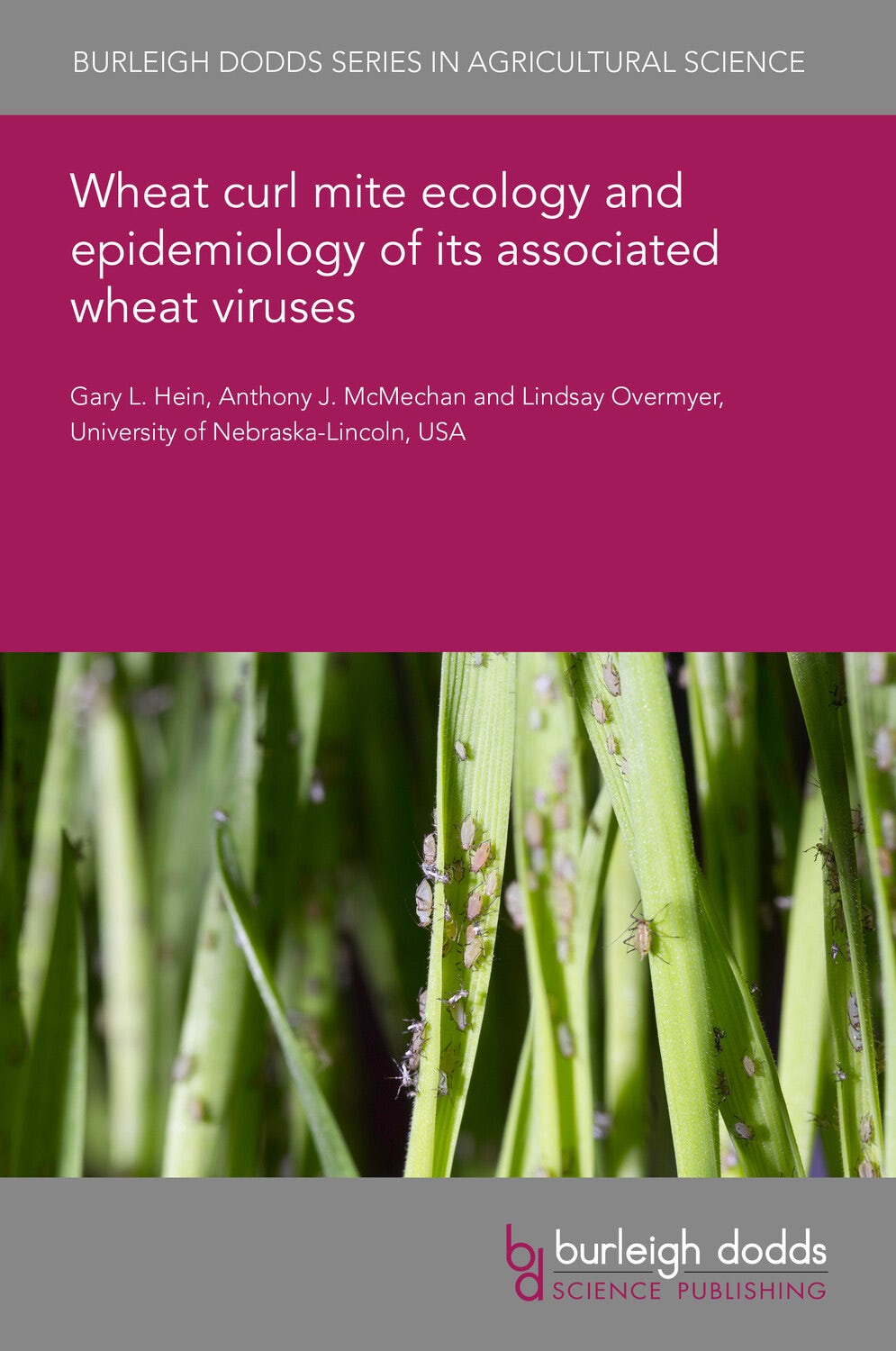 Book cover image for Wheat curl mite ecology and epidemiology of its associated wheat viruses ISBN: 9781801468541